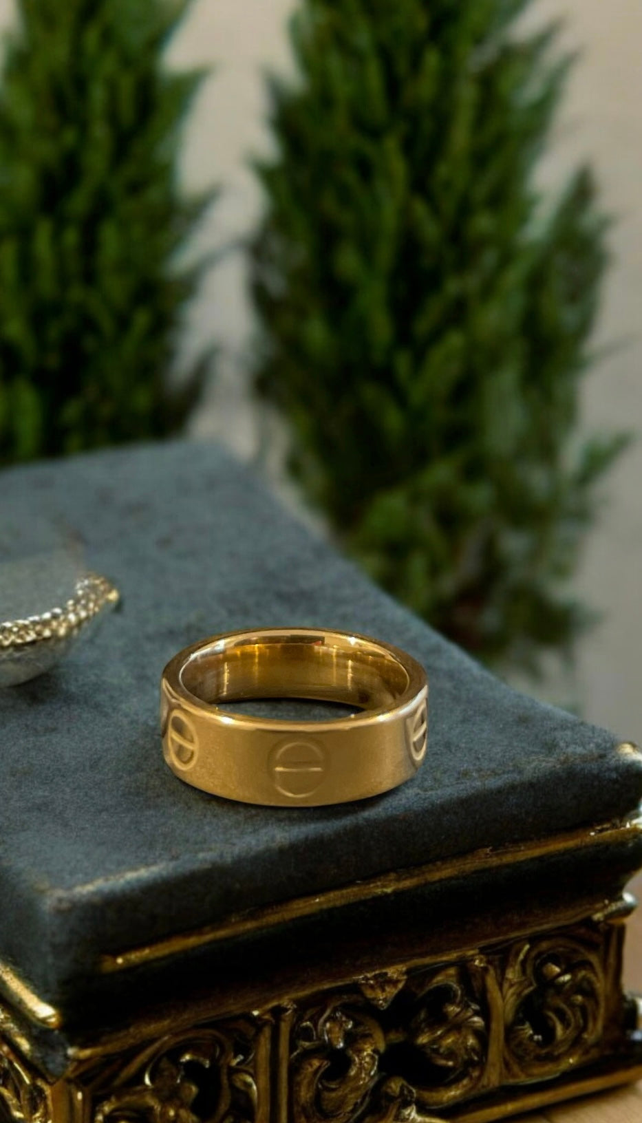 The C Ring