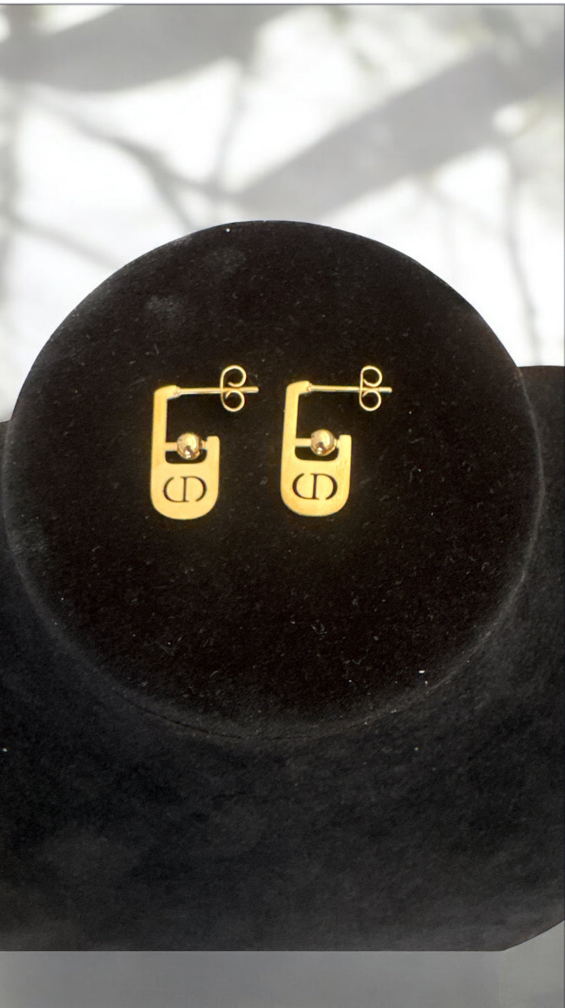 The C and D Earings